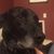 Liz Parker's profile image