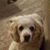 Kimberly J Conrad's profile image