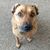 Janet Foote Birchfield's profile image