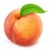 John Pringle's profile image
