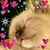 Teresa K Jennings's profile image