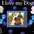Joy Stipkovits's profile image