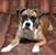 Kevin Harris's profile image