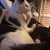 Cheryl Carothers's profile image