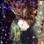 Denise Ann's profile image