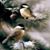 Sue A. Johnston's profile image