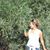 Romina Salvadori's profile image