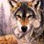Carol Drennan's profile image