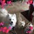 Terri Anderson's profile image