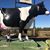 Jenny Kay Matlack's profile image