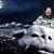 Peter Martin's profile image