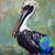 Leticia Castro Garrett's profile image
