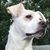 Lori Sebring Glass's profile image