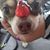 Jason Blad's profile image