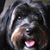 Misst Sweet's profile image