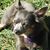 Karen Sterner's profile image