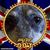 Tracy Doyle's profile image
