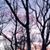 Jennifer Hardy-Hargett's profile image