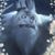 Steve Oslizlo II's profile image