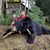 Dan Heise's profile image