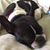 Linda Stengle's profile image