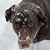 DeeDee Hosking's profile image