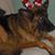 Colleen Dolan Hatfield's profile image