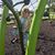 Amanda Bartels-DeCamp's profile image