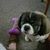 Imogene Scharpf's profile image