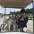 Megan Petrou McIntyre's profile image