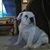 Pam Goucher's profile image