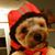 Cheri Rasset Wiegert's profile image