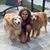Susan Mendez's profile image