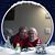 Donna McGehee Copley Davies's profile image
