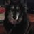 Al Meske's profile image