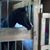 Mary Gayle Parmeter's profile image