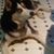 Jennifer Lynn DiCarlo's profile image