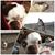 Lori Mosca's profile image