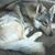 James Zachman's profile image