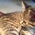 Janice Briggs Edwards's profile image