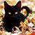Kathy Chambers Groves's profile image