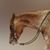Lisa Langhorst's profile image