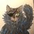 Rene Brackin Ferdig's profile image