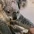 Larry Martin's profile image