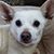 Rosie Shotwell's profile image
