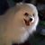 Jackie Johnson's profile image