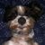 Katy Mikulenka Brooks's profile image