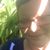 Elise Warren's profile image