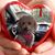 Miriam Dolcemello's profile image