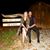 Olivia Marie Rasner's profile image